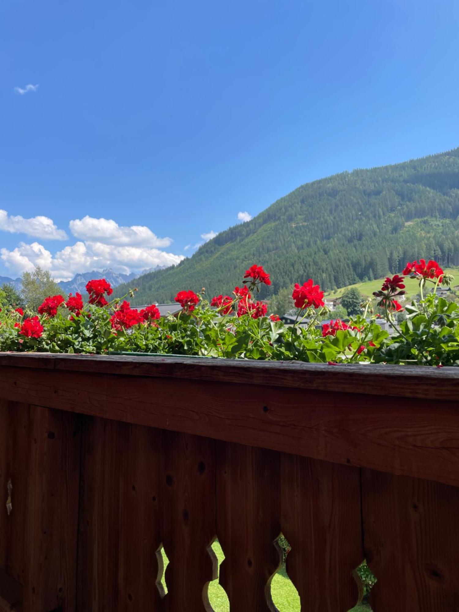 Wimmhof Apartment Sankt Martin am Tennengebirge Luaran gambar